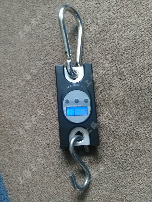 С���̟o��������Ӌ(j��)